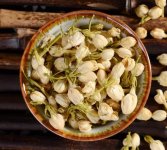 鮮茉莉花怎么炮制成茶？