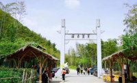 5月12日：徒步貢茶古道，天然氧吧，綠色之旅